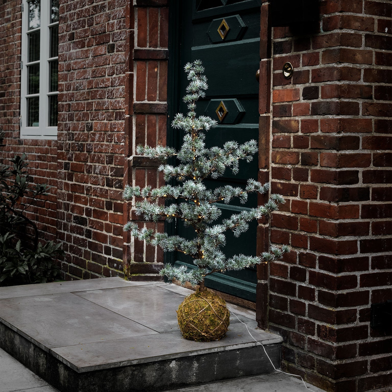 Festive Zedernbaum mit LED